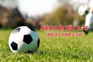 Hướng Dẫn Chơi Kèo 2.75 Tại 7M Dành Cho Người Mới