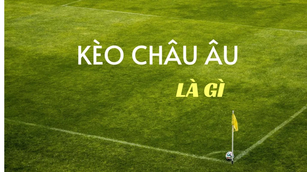 Cách Chinh Phục Kèo Châu Âu Tại 7M Với Tỷ Lệ Ăn Tiền Cực Khủng
