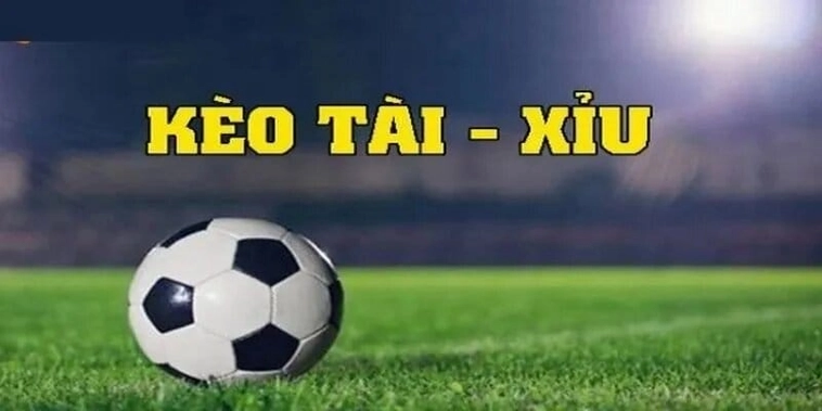 Bí Quyết Soi Kèo Tài Xỉu Tại 7M Luôn Thắng Cho Người Mới Bắt Đầu