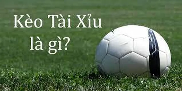 Bí Quyết Soi Kèo Tài Xỉu Tại 7M Luôn Thắng Cho Người Mới Bắt Đầu