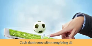Hướng Dẫn Cách Chơi Kèo Xiên Trong Bóng Đá Tại 7M Cực Kỳ Hiệu Quả